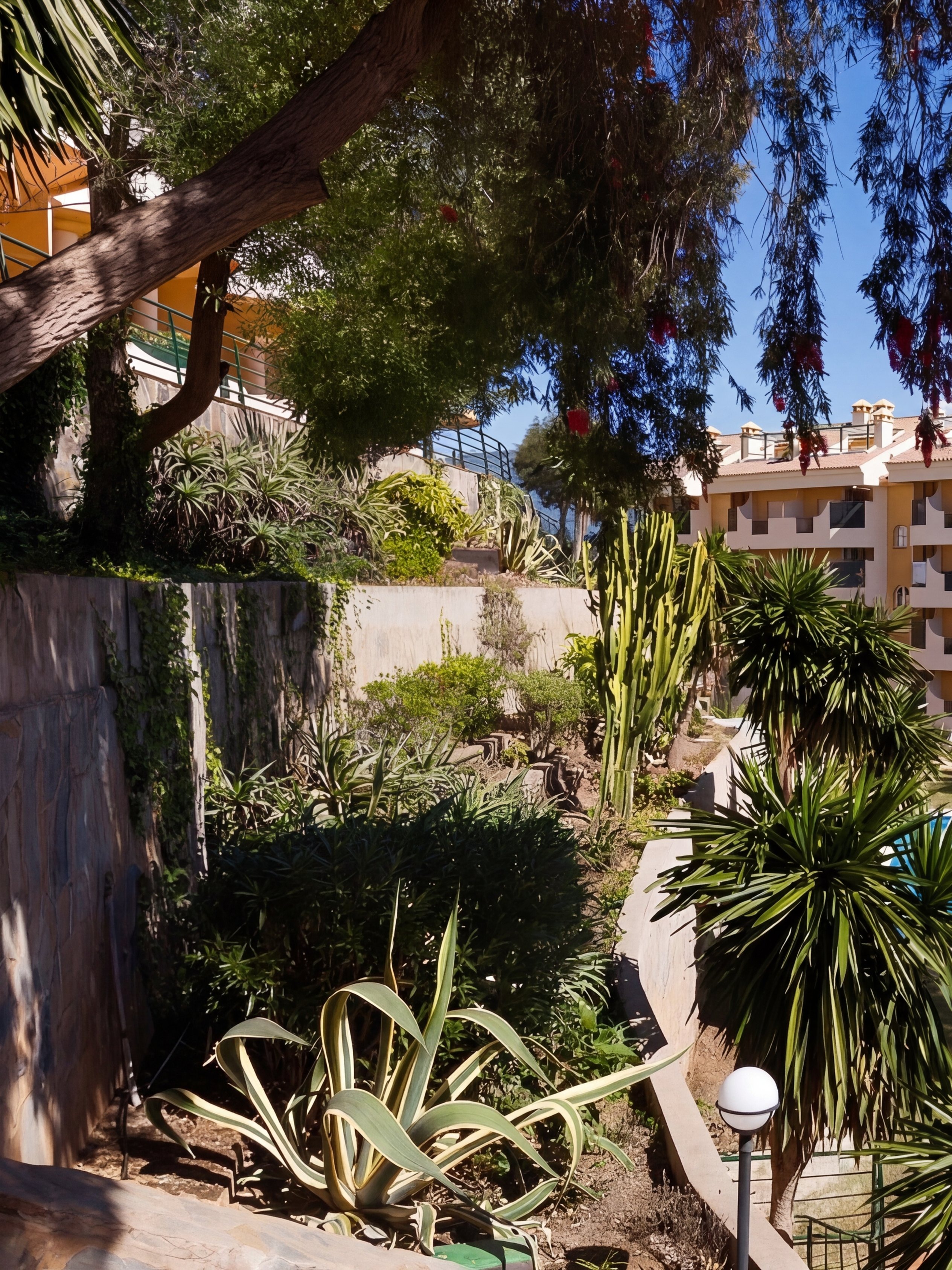 Señorío de Aloha gardens between buildings with tropical plants and pools